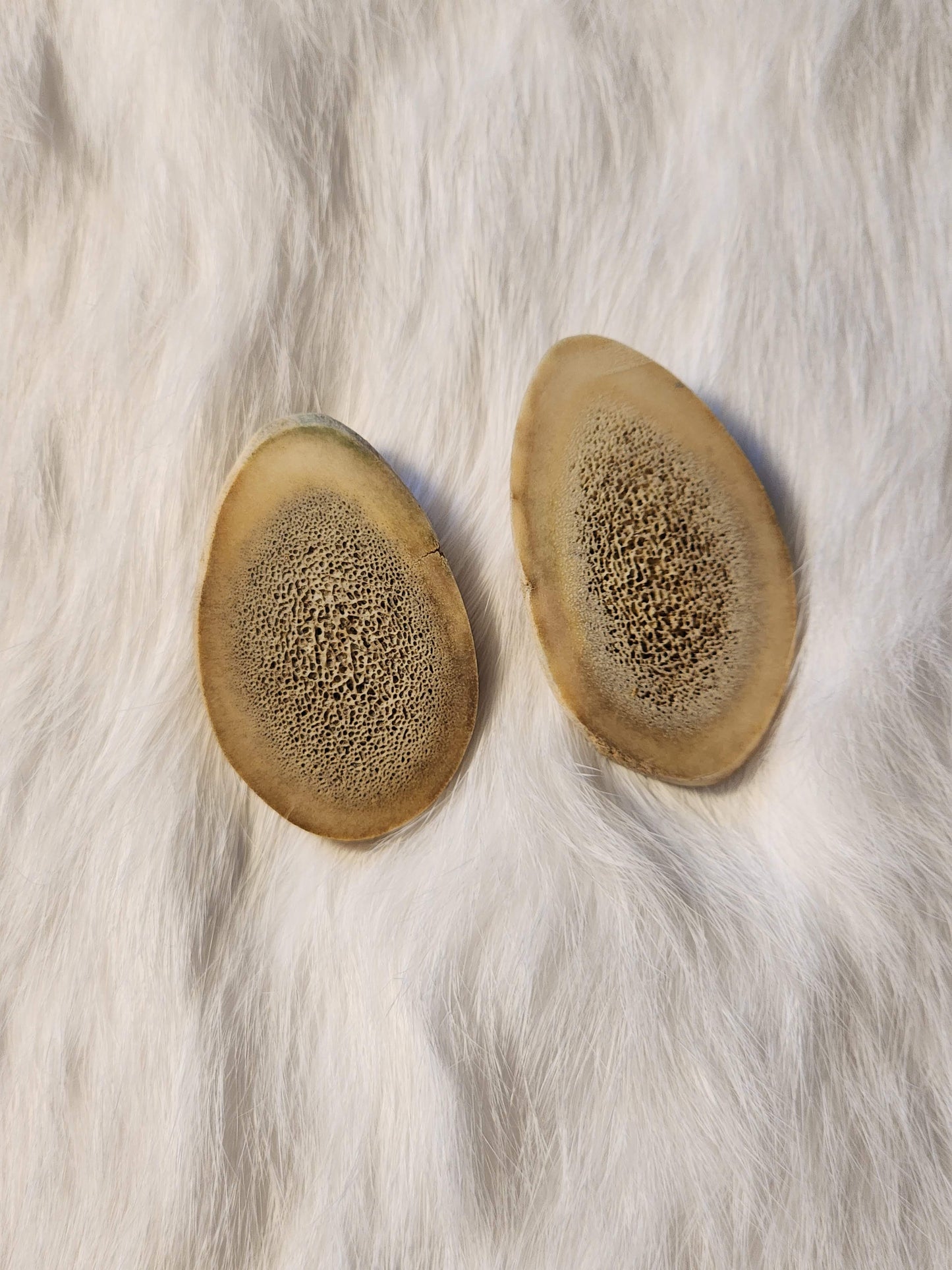 Classic caribou antler studs