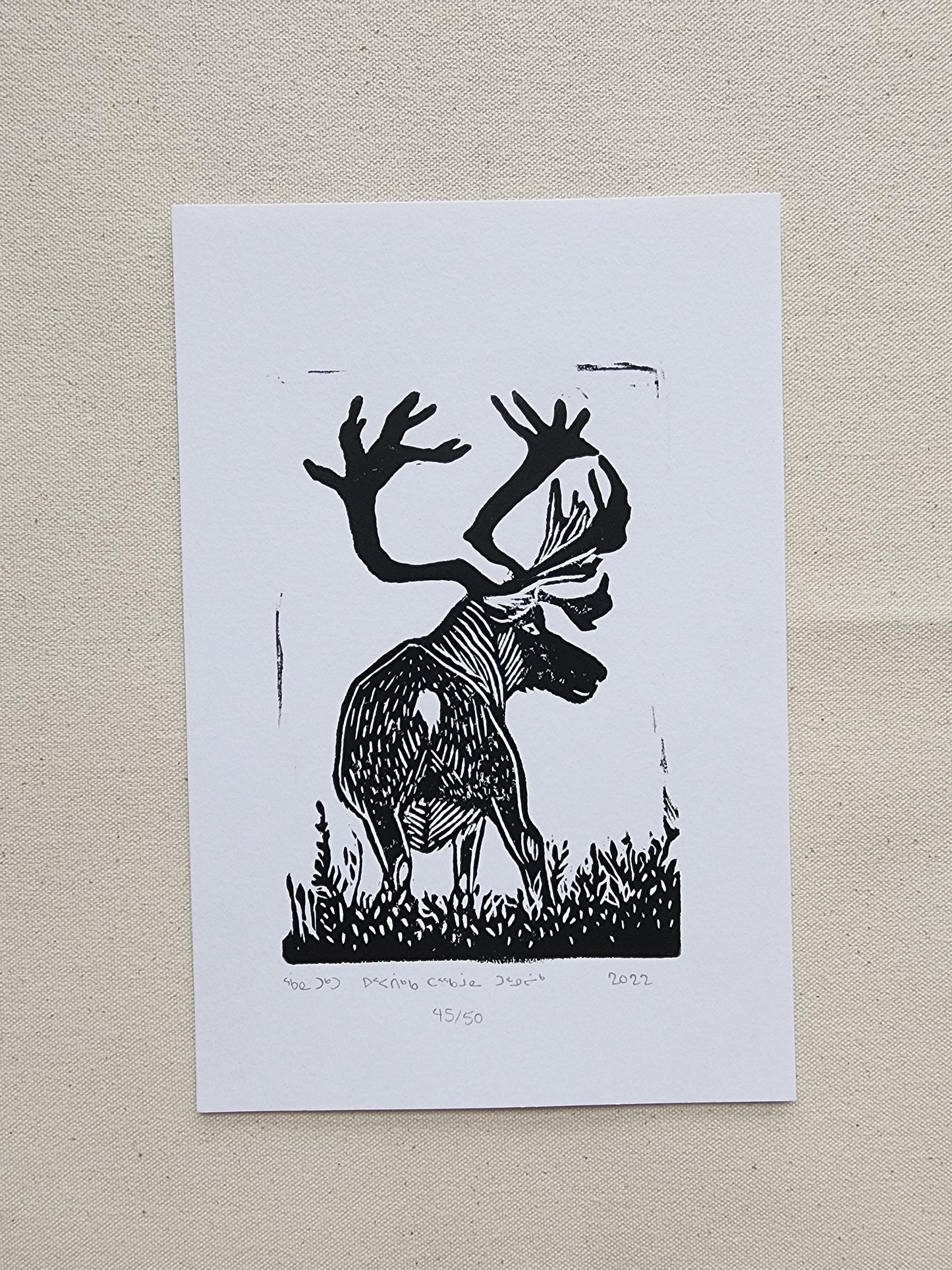 Uppatiikka Tarqamuuna Tunnuliik