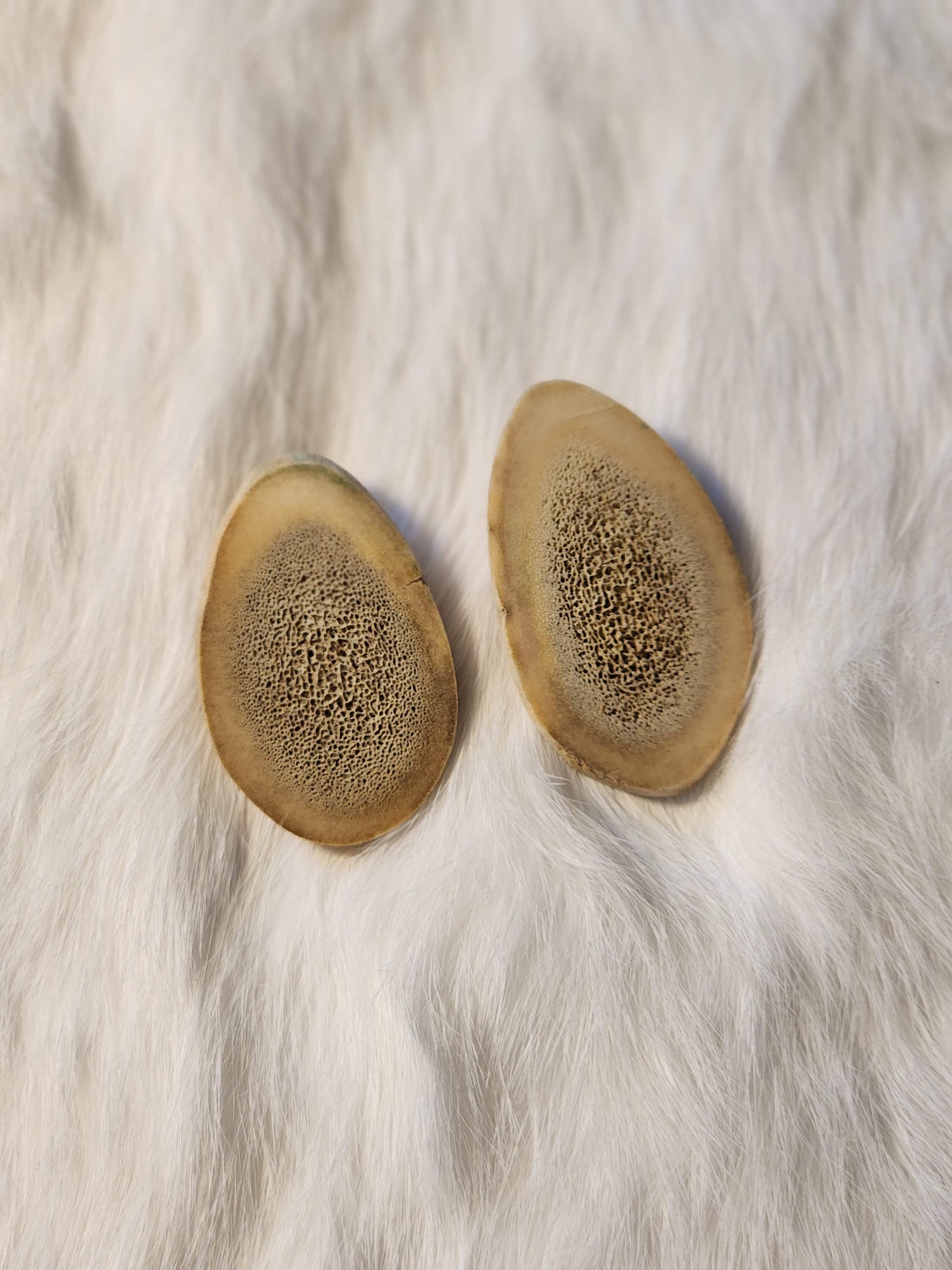 Classic caribou antler studs