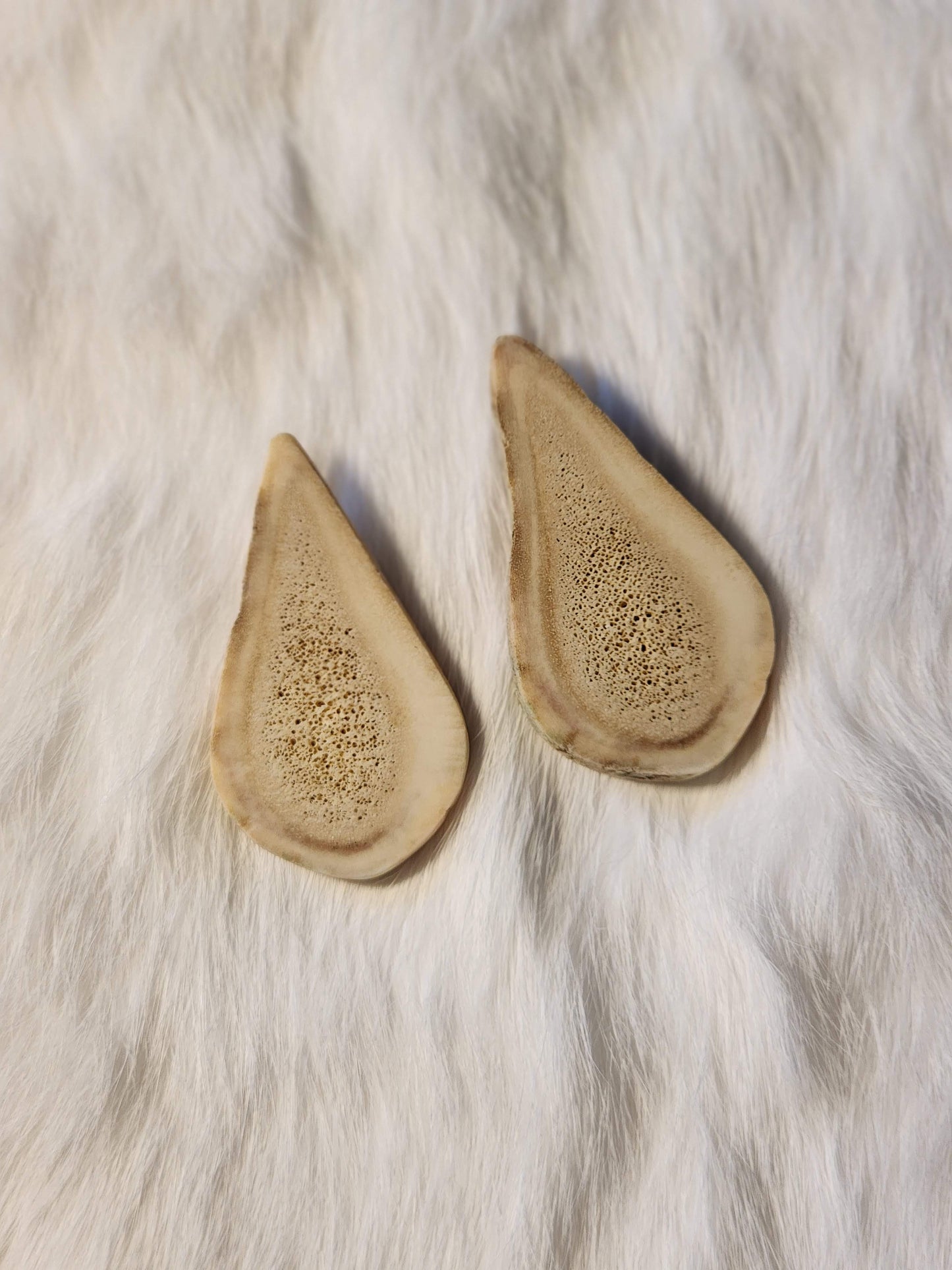 Classic caribou antler studs