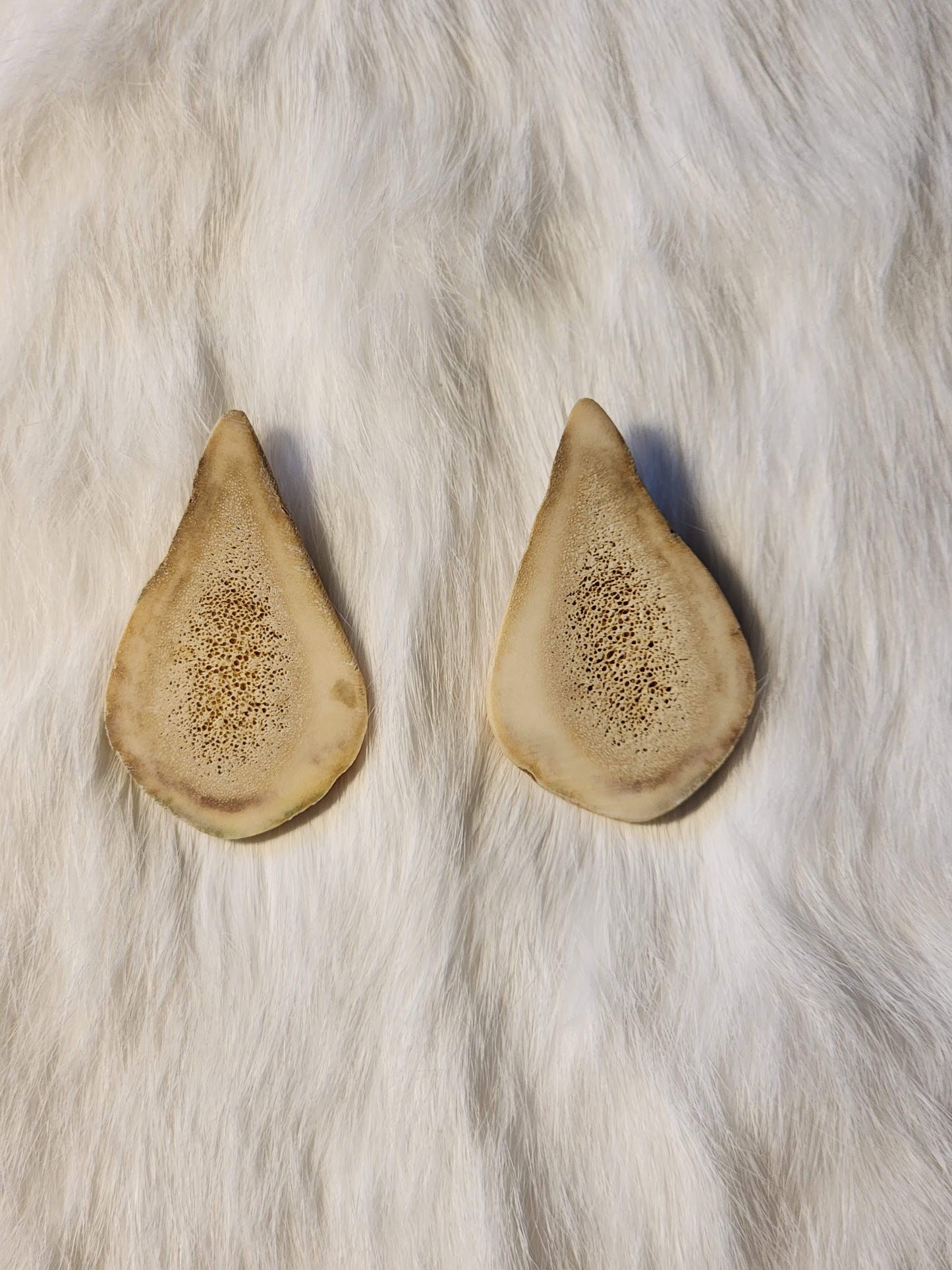 Classic caribou antler studs