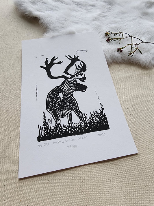 Uppatiikka Tarqamuuna Tunnuliik